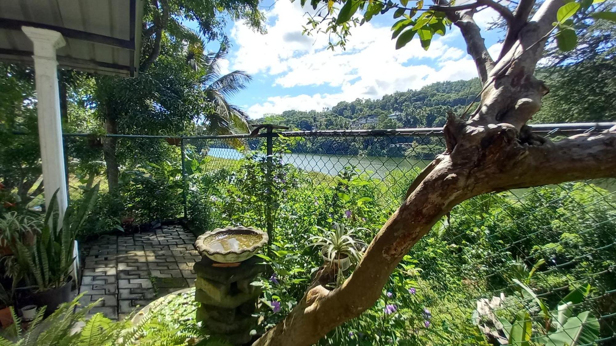 Mahaweli Shades Hotel Kandy Ngoại thất bức ảnh