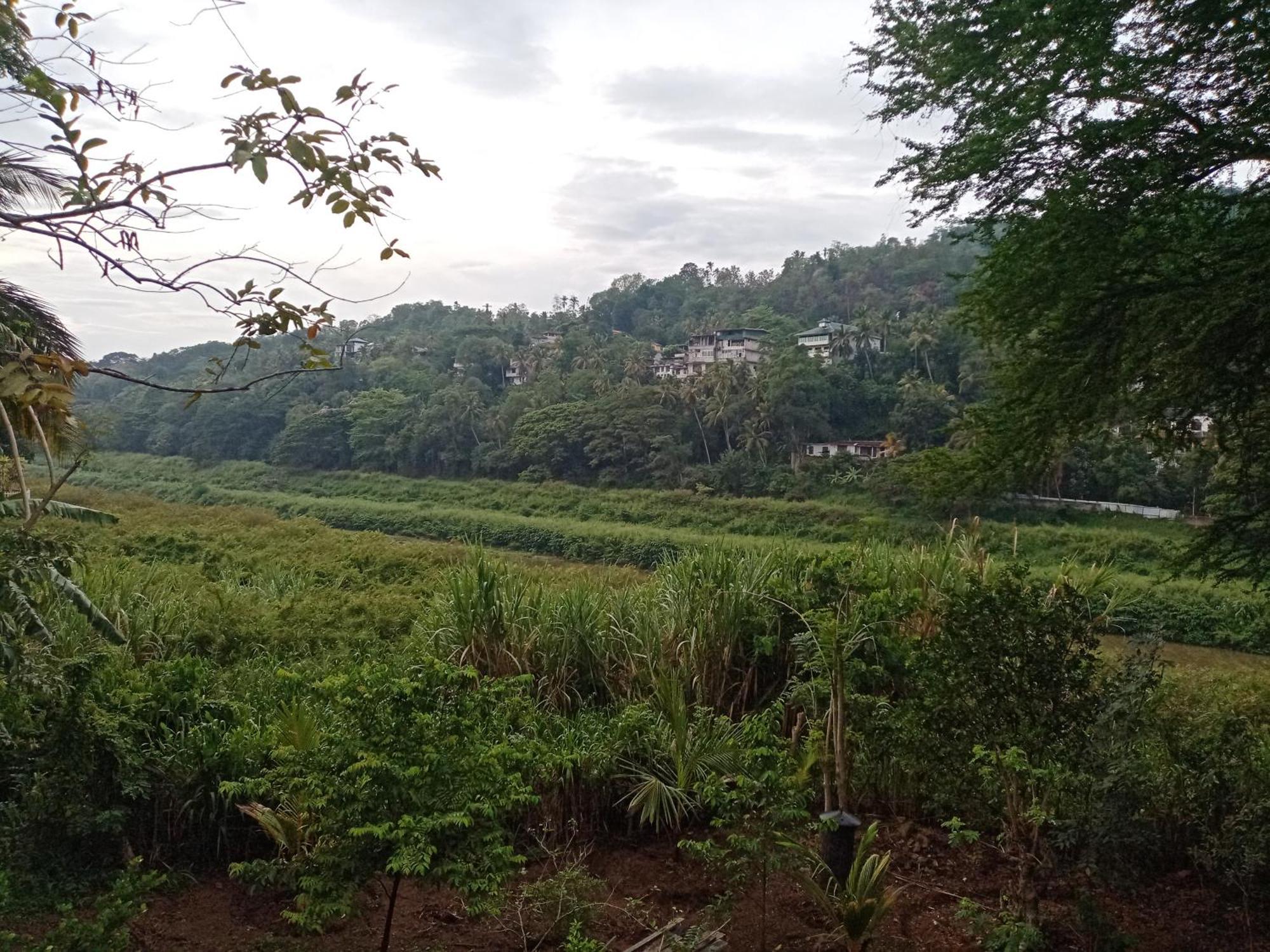 Mahaweli Shades Hotel Kandy Ngoại thất bức ảnh