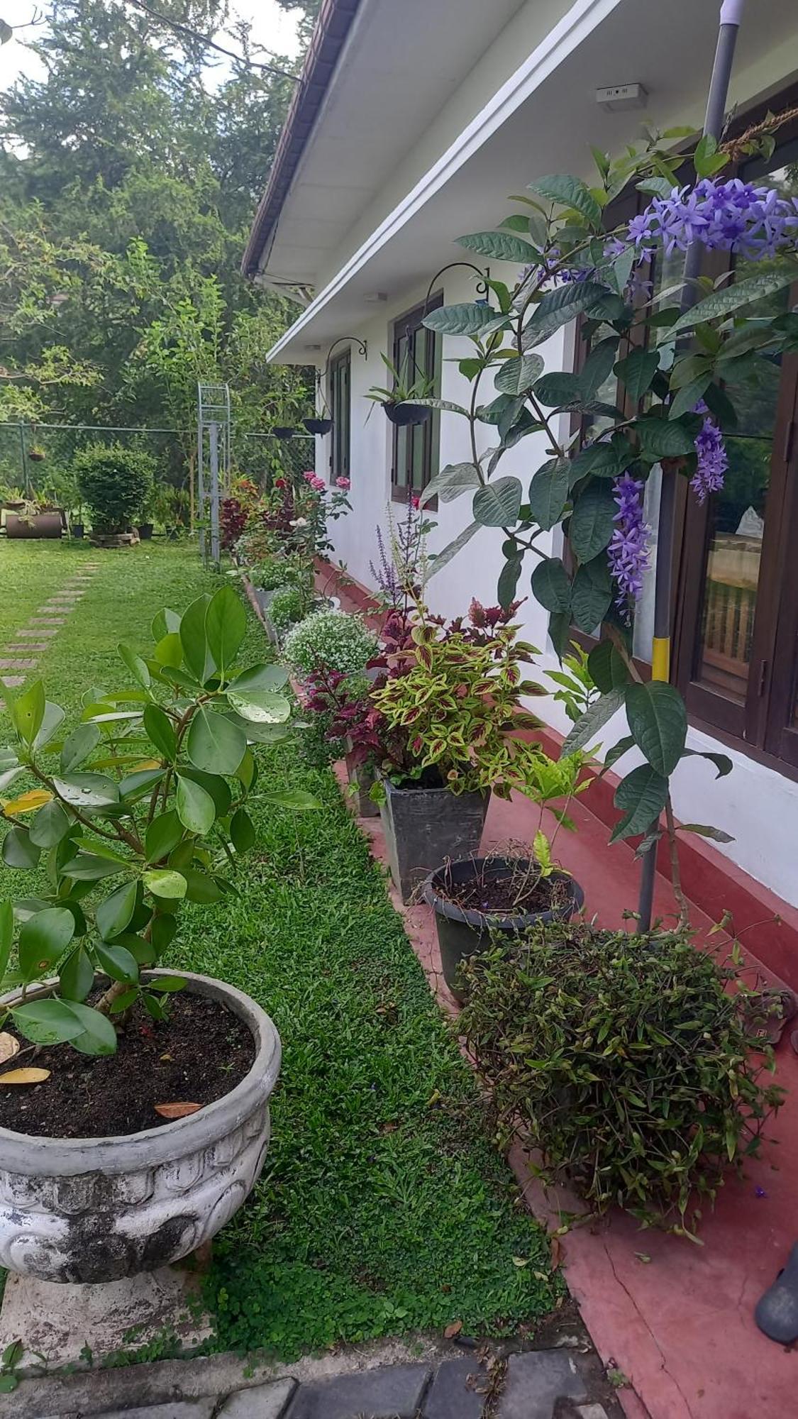 Mahaweli Shades Hotel Kandy Ngoại thất bức ảnh