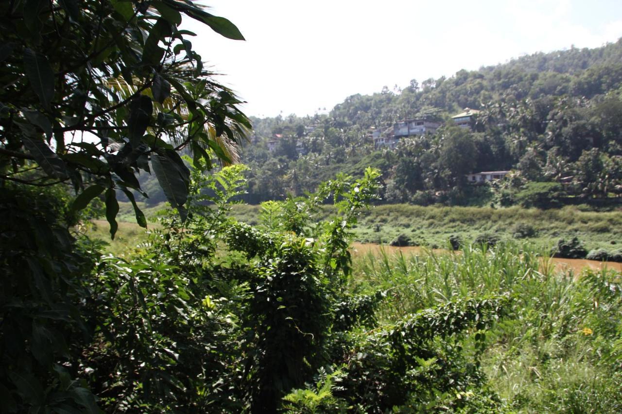 Mahaweli Shades Hotel Kandy Ngoại thất bức ảnh