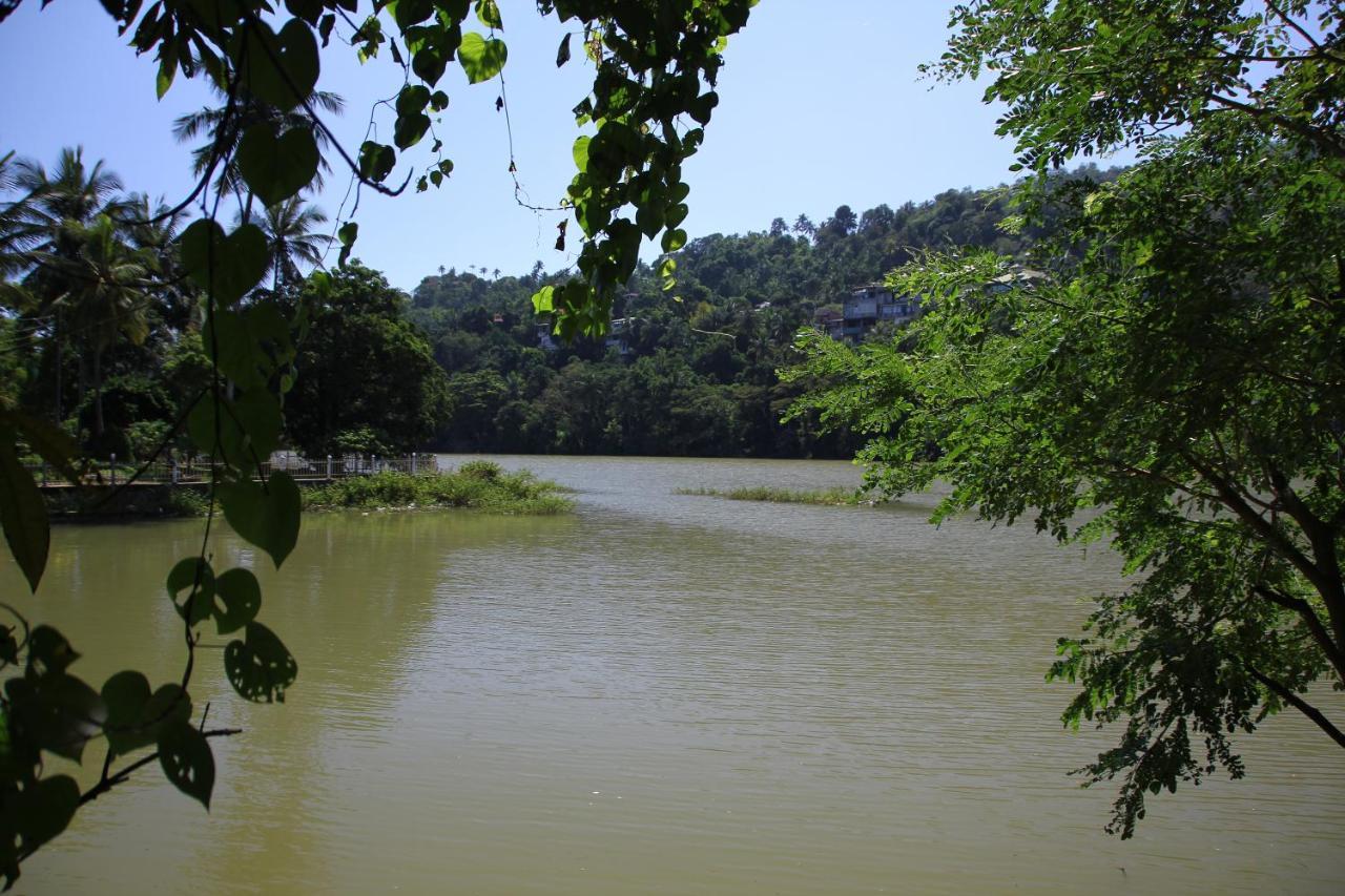Mahaweli Shades Hotel Kandy Ngoại thất bức ảnh